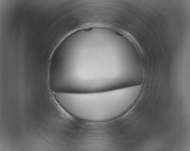 X0000070171244200605260956