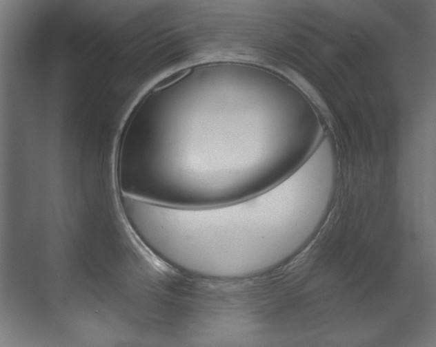X0000070171246200605260956