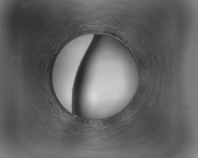 X0000070171249200605260955