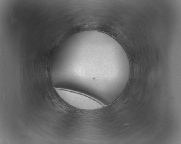 X0000070171250200605260955