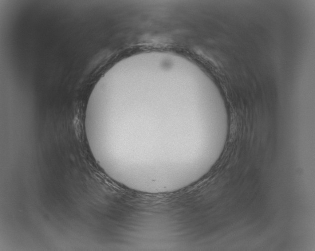 X0000070171254200605260955