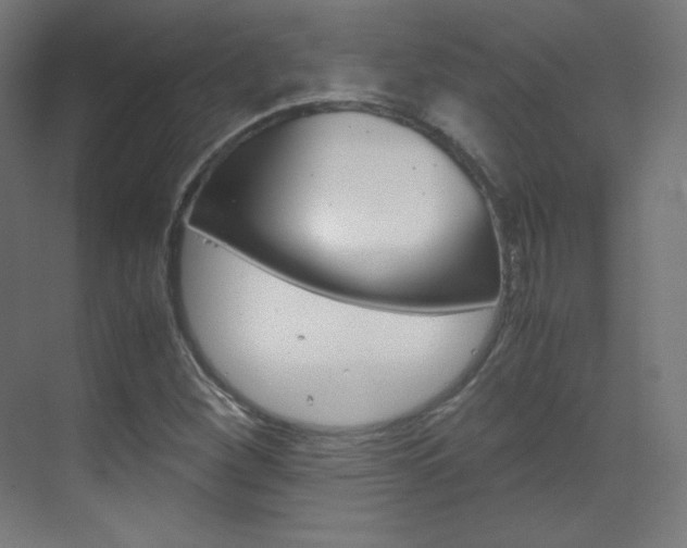 X0000070171260200605260955