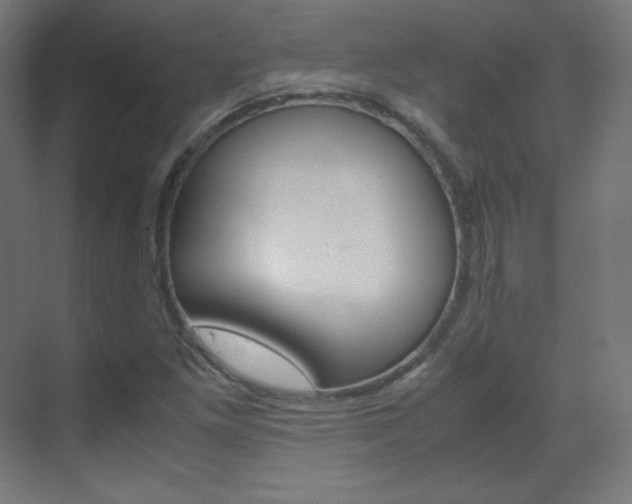 X0000070171261200605260955