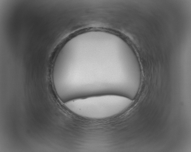 X0000070171263200605260955