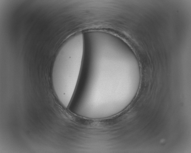 X0000070171265200605260955