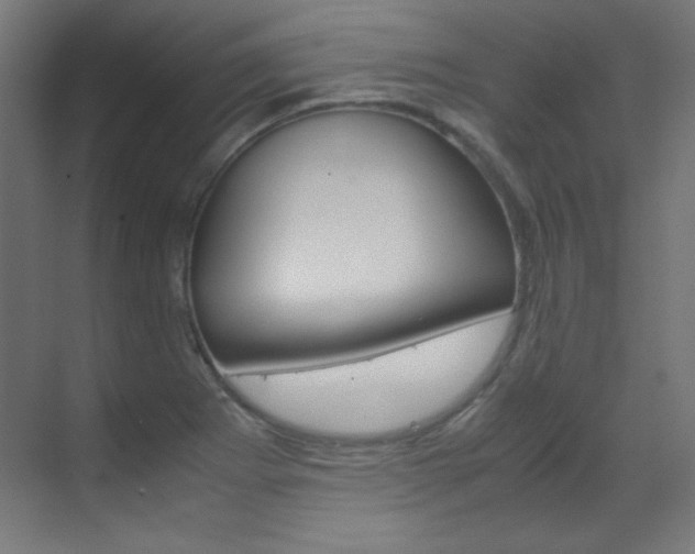 X0000070171273200605260955