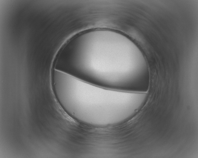 X0000070171280200605260955