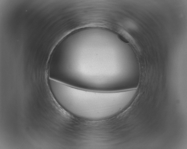 X0000070171284200605260955