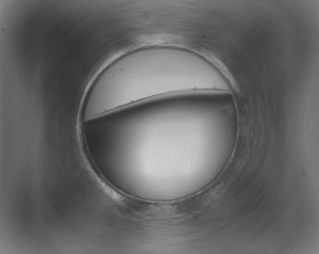 X0000070171285200605260955