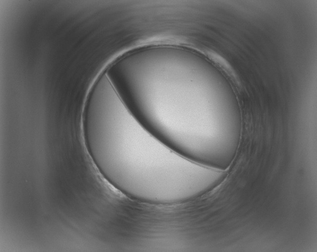 X0000070171288200605260955