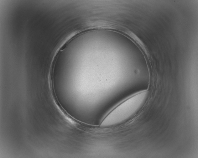 X0000070171293200605260955