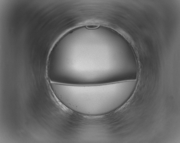 X0000070171296200605260955