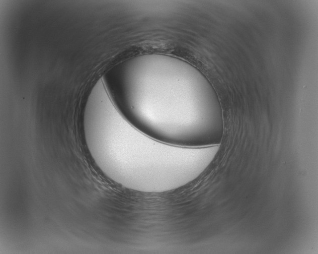 X0000070171297200605260954