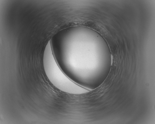 X0000070171298200605260954