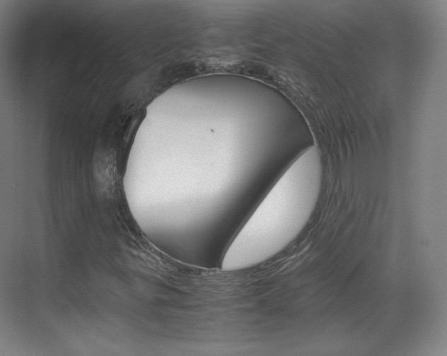 X0000070171299200605260954