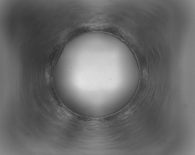 X0000070171300200605260954