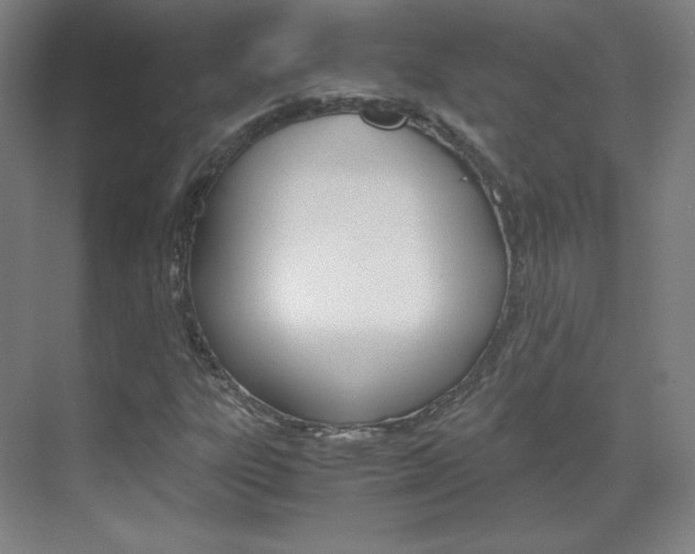X0000070171303200605260954
