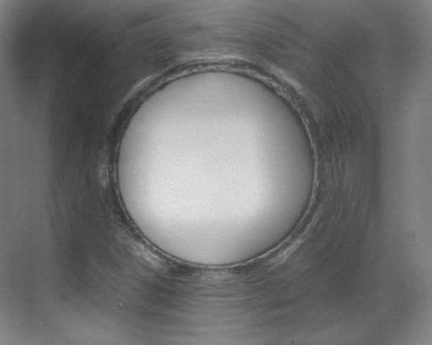 X0000070171306200605260954