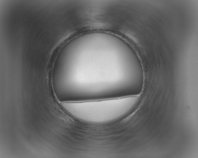 X0000070171309200605260954