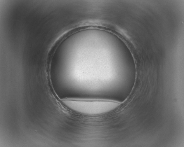 X0000070171312200605260954