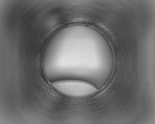 X0000070171313200605260954