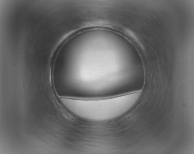X0000070171320200605260954