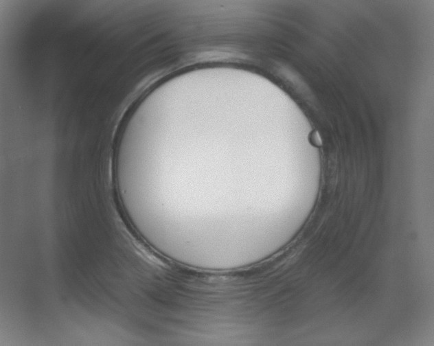 X0000070171322200605260954