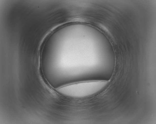 X0000070171323200605260954