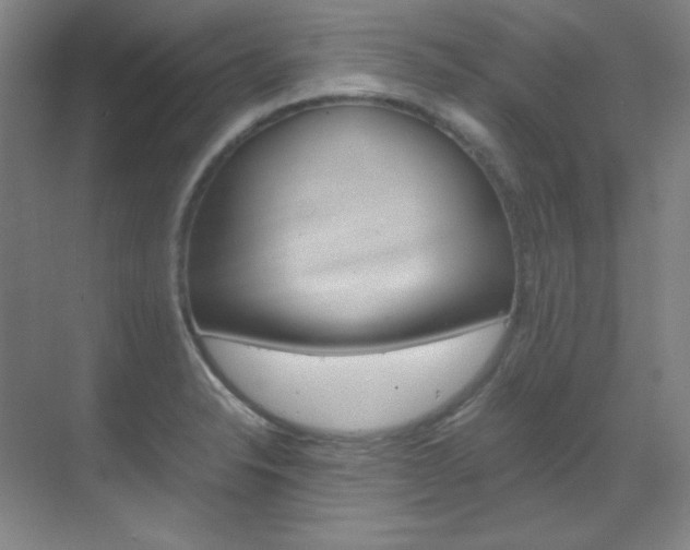 X0000070171326200605260954
