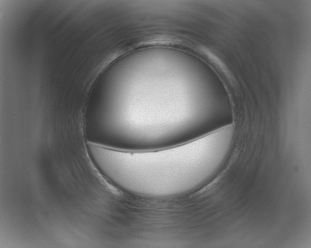 X0000070171329200605260954