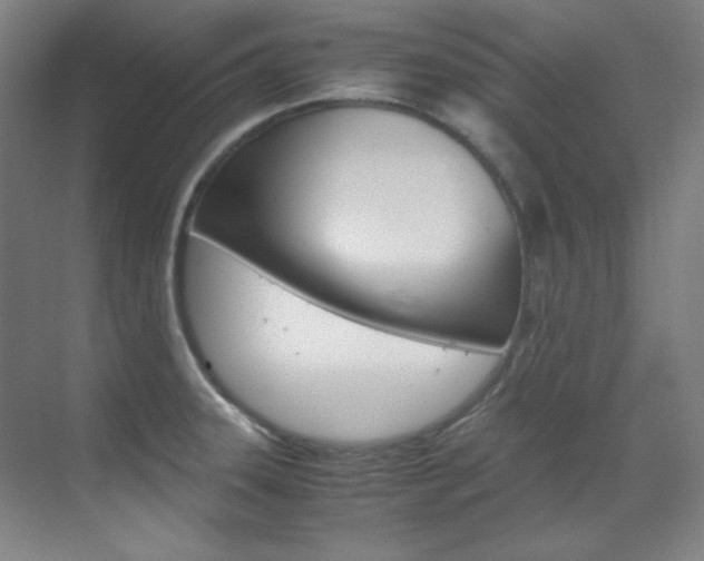 X0000070171331200605260954