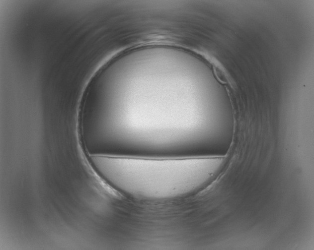 X0000070171333200605260954