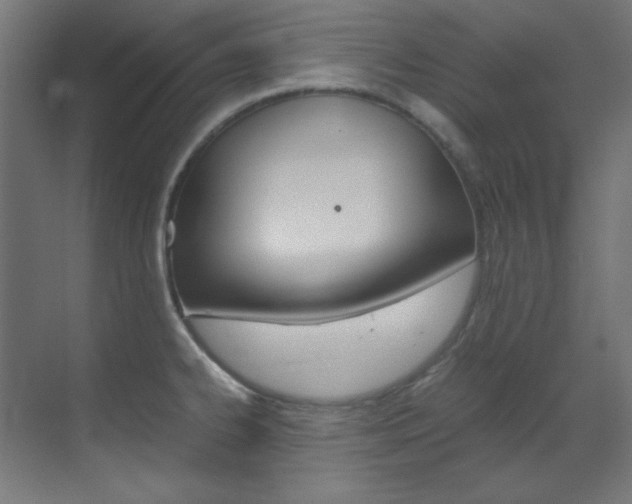 X0000070171334200605260954