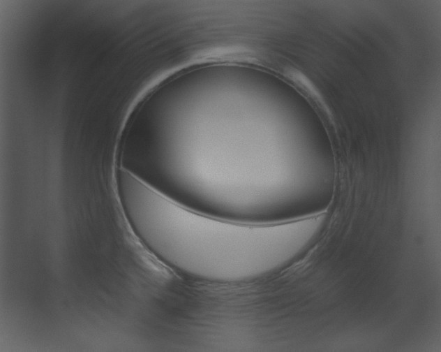 X0000070171336200605260954
