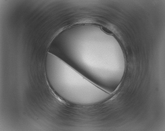 X0000070171337200605260955
