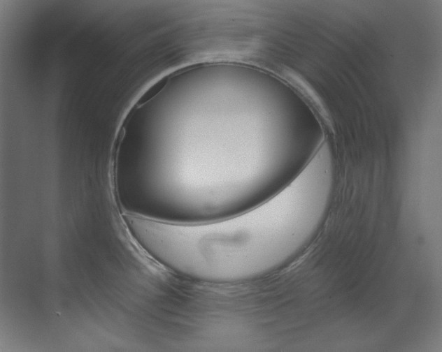 X0000070171340200605260955