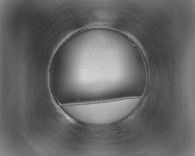 X0000070171341200605260955