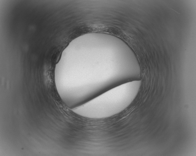 X0000070171346200605260954