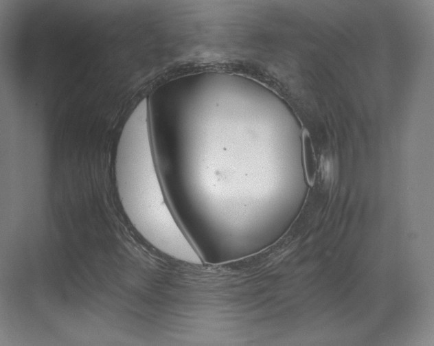 X0000070171348200605260954