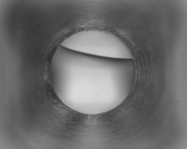 X0000070171350200605260954