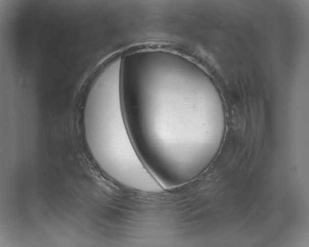 X0000070171352200605260954
