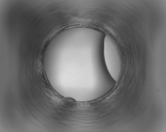 X0000070171354200605260954