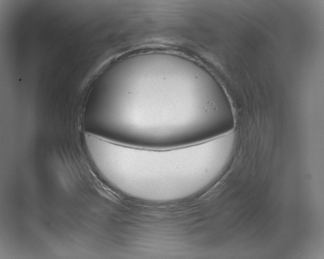 X0000070171355200605260954