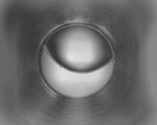 X0000070171356200605260954