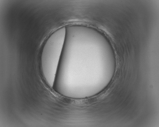 X0000070171357200605260954