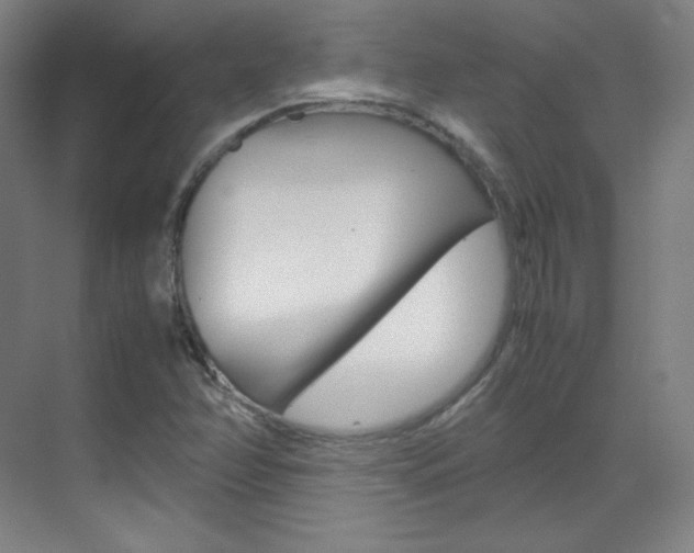 X0000070171358200605260954