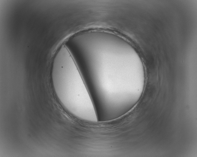 X0000070171359200605260954