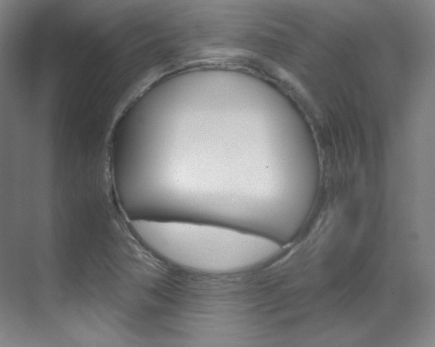 X0000070171362200605260954