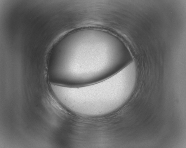 X0000070171363200605260954