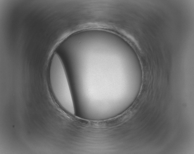 X0000070171365200605260953